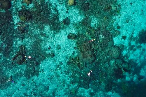 Snorkeling in Raja Ampat